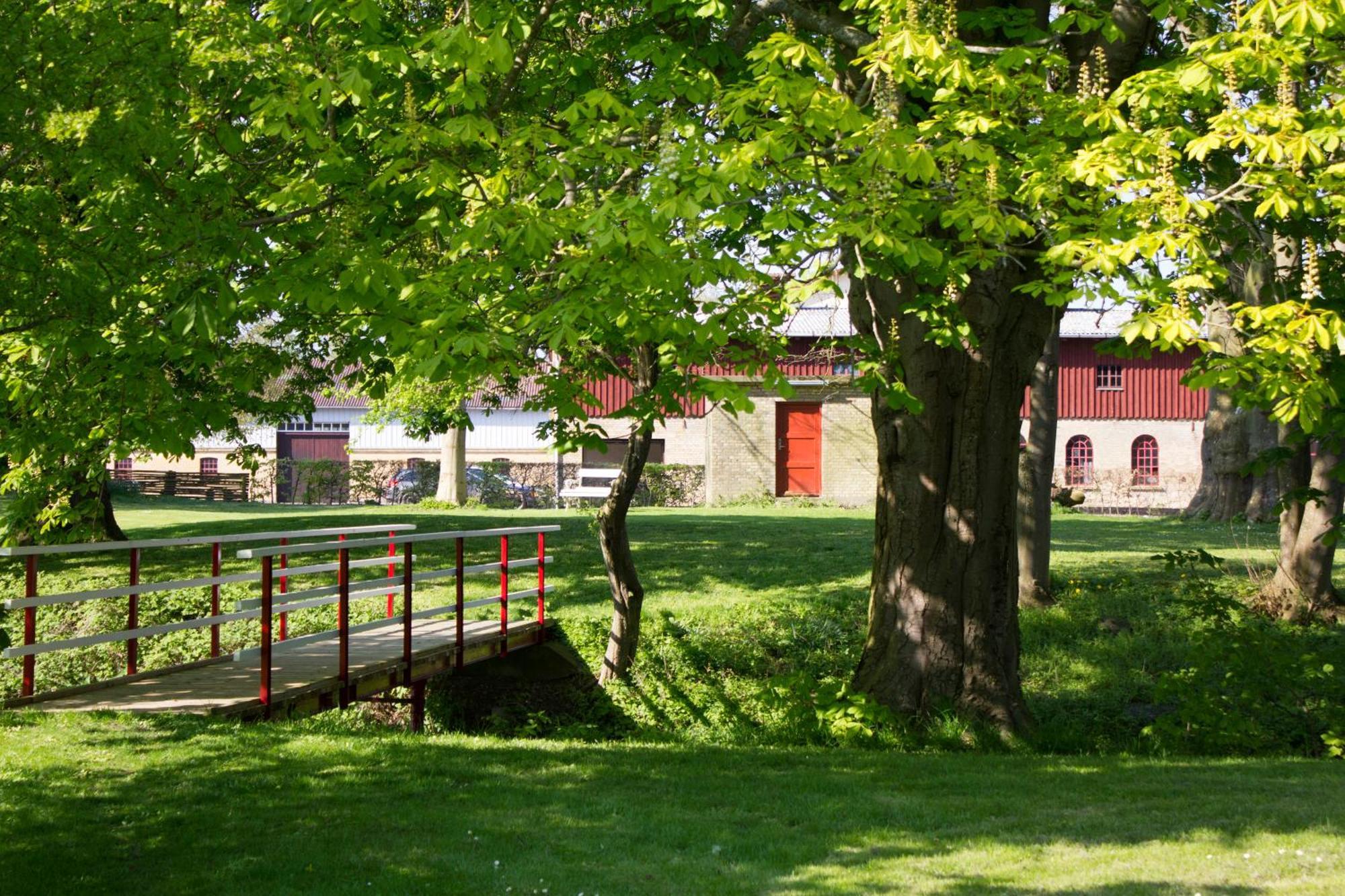 Bed and Breakfast Ronhave Sønderborg Exteriér fotografie